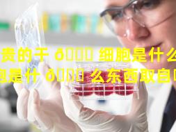 昂贵的干 🐘 细胞是什么（干细胞是什 🐞 么东西取自哪里）